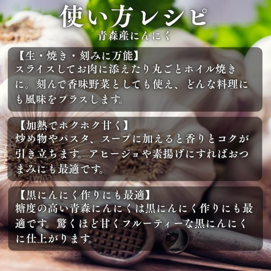 青森県田子産 にんにく たっこにんにく Lサイズ 令和8年産 10kg 農家