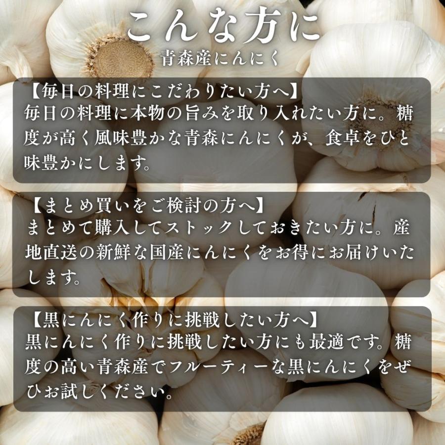 青森県田子産 にんにく たっこにんにく Lサイズ 令和8年産 10kg 農家