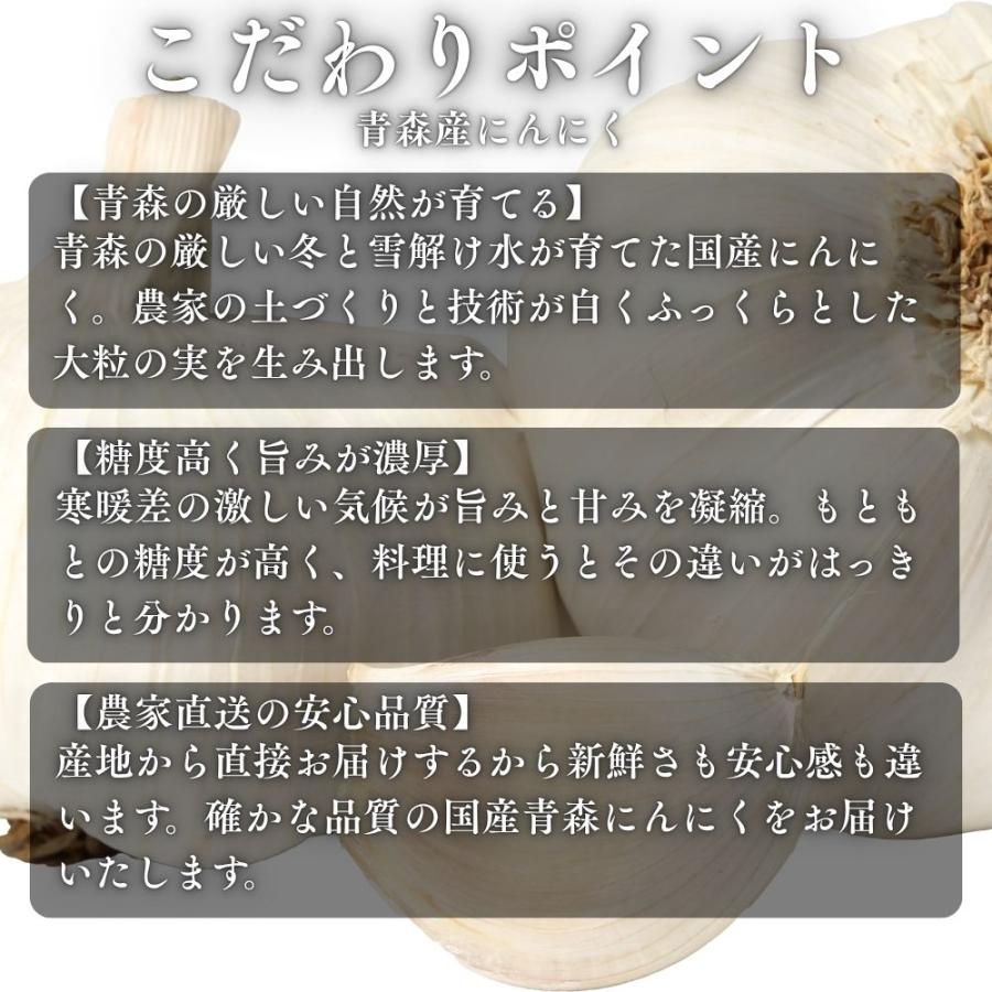 青森県田子産 にんにく たっこにんにく Lサイズ 令和8年産 10kg 農家