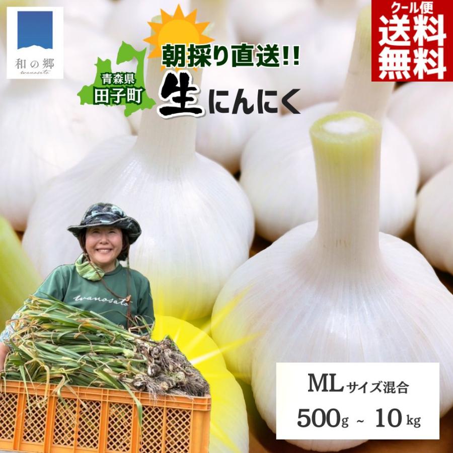 【予約商品】R8年産 掘りたて生にんにく サイズ混合 | 