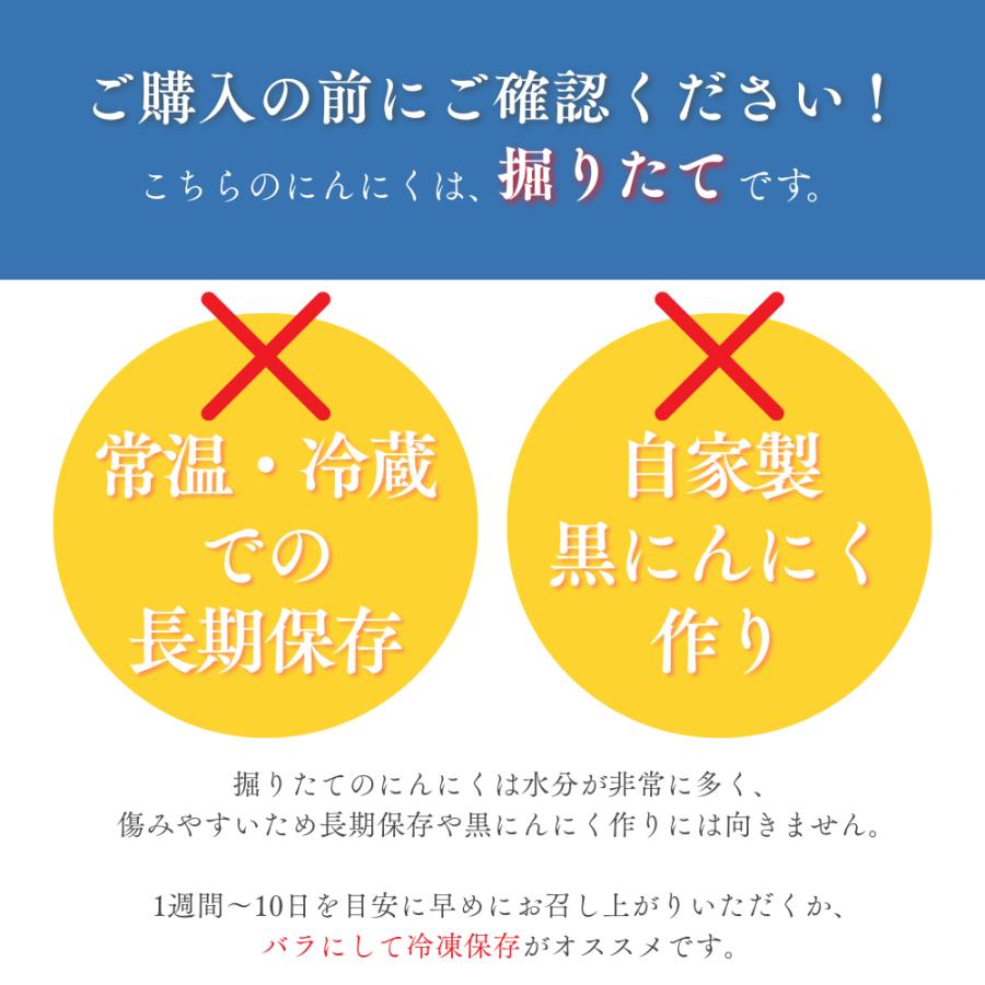【予約商品】R8年産 掘りたて生にんにく サイズ混合 |  | 09