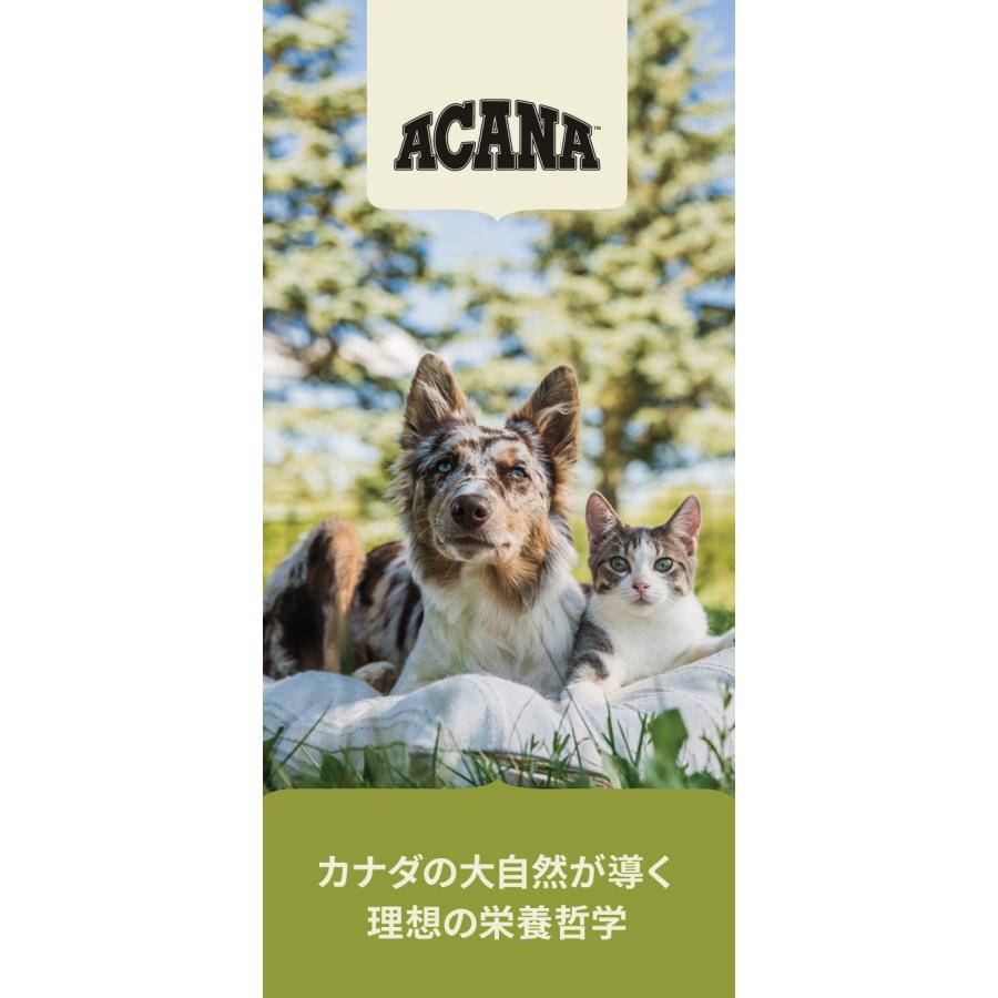 アカナスポーツ＆アジリティレシピ11.4kg送料無料 ACANA（アカナ） クーポン有) スポーツ アジリティレシピ 11.4kg