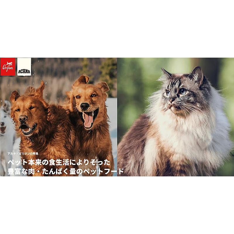 ACANA（アカナ） クーポン有) スポーツ アジリティレシピ 11.4kg