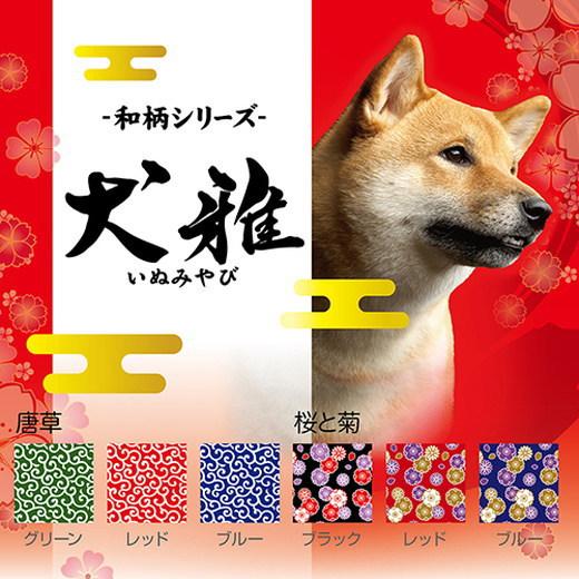 ペティオ 犬雅 唐草カラー SS グリーン 超小型犬 AME｜wanpaku｜03