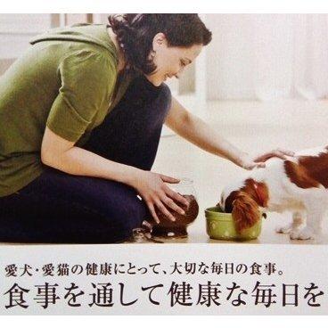 アーテミス スモールブリード アダルト 小粒 6kg ARTEMISドッグフード 楽天市場】アーテミス フレッシュミックス スモールブリード