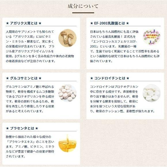 AGARx I/S 送料無(特) アーテミス アガリクスI/S 1kg 小粒/中粒/肥満