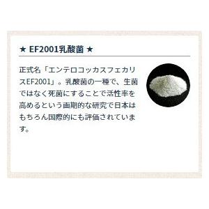 pHコントロール クーポン有) ブリスミックス 猫用 2kg グレインフリー