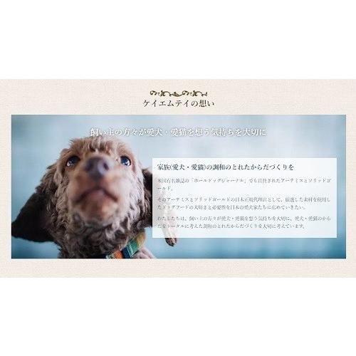 ブリスミックス 犬用 pH コントロール グレインフリーチキン 小粒 3kg ドッグフード AS60｜wanpaku｜06