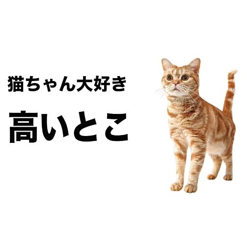 マルカン キティケージ 1000 猫用   A160-15｜wanpaku｜03