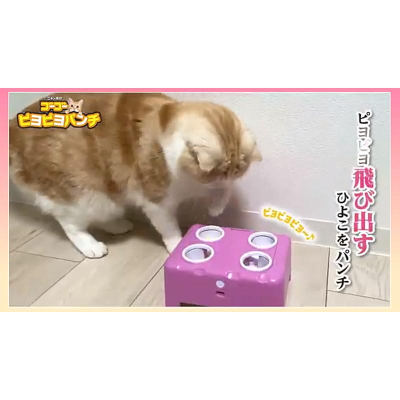 マルカン ゴーゴーピヨピヨパンチ 猫用 AS60｜wanpaku｜05