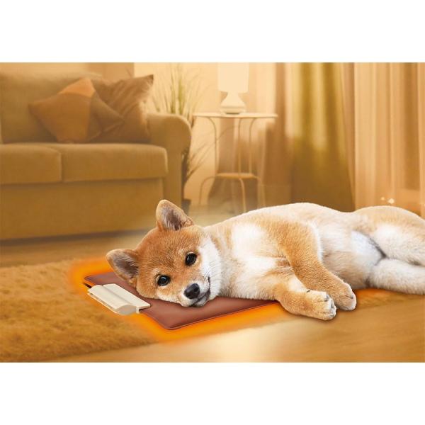 GONTA CLUB クーポン有) マルカン 遠赤外線やわらかホッとヒーターL 犬