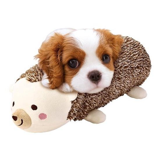 マルカン クーポン有) ボトル湯たんぽカバー ハリネズミ アゴまくら 犬