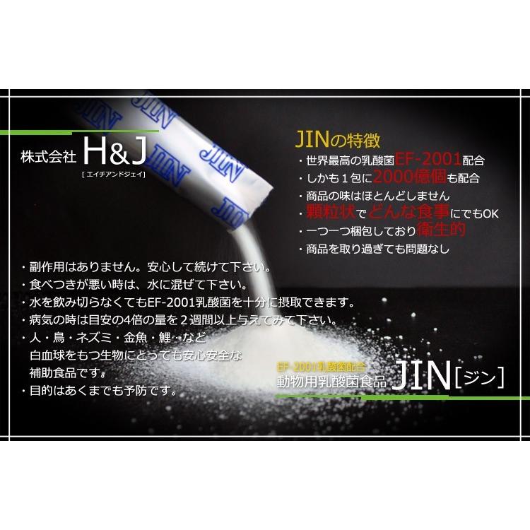 乳酸菌 JIN ジン 15包 AM0｜wanpaku｜02