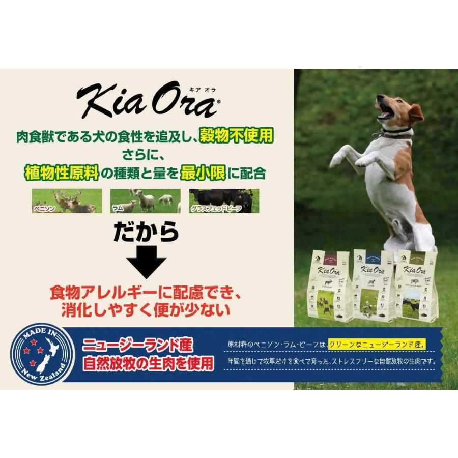 Kia Ora クーポン有) 【自然環境やさしい国から安心素材】キアオラ 犬 