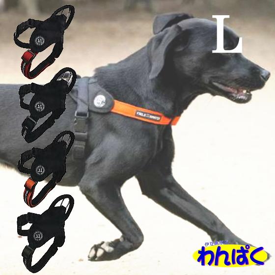 クーポン有) カワノ マイスタープラス フィールドマスター L ハーネス