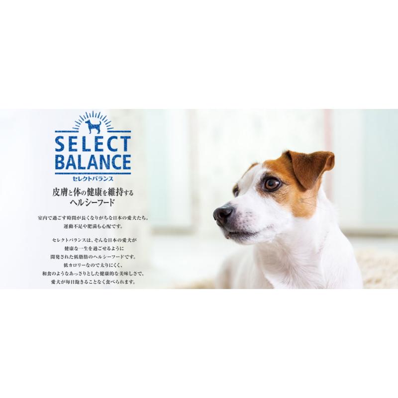 SELECT BALANCE ドッグフード ラム 7kg アダルトラム　小粒 セレクトバランス アダルト / 1才以上の成犬用ラム小粒 7kg