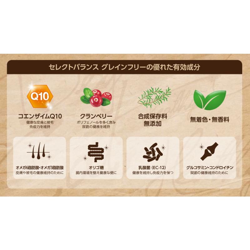 SELECT BALANCE クーポン有) 国産 グレインフリー チキン 小粒 2.4kg