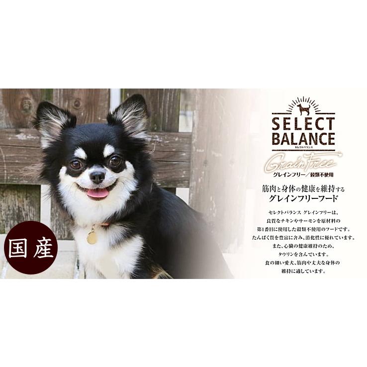 SELECT BALANCE クーポン有) 国産 グレインフリー チキン 小粒 6kg
