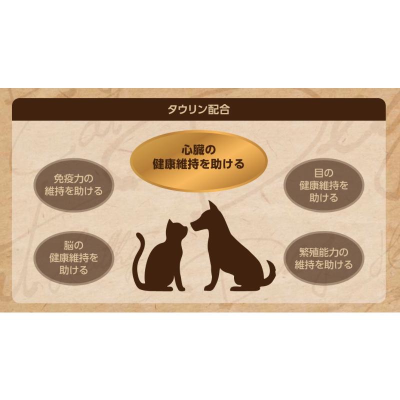 クーポン有) 国産 グレインフリー サーモン 小粒 6kg  セレクトバランス 成犬用 アダルト  ドッグフード 無添加 4541851006477 AS80の画像