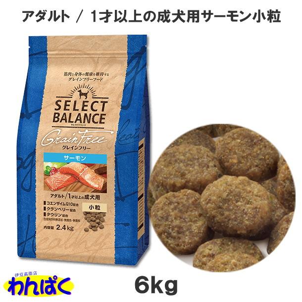 SELECT BALANCE クーポン有) 国産 グレインフリー サーモン 小粒