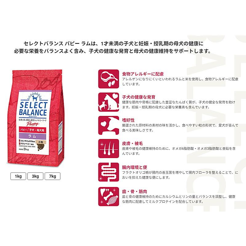 SELECT BALANCE クーポン有) セレクトバランス 子犬用 ラム 小粒 3kg