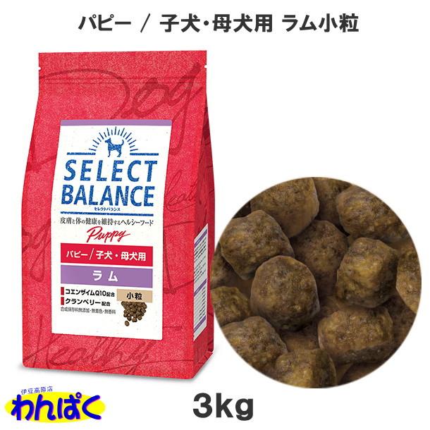 SELECT BALANCE クーポン有) セレクトバランス 子犬用 ラム 小粒 3kg