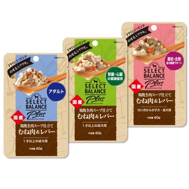 SELECT BALANCE クーポン有) 国産 セレクトバランスプラス 犬用 40g