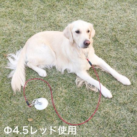 クーポン有) ペティオ Petio タフギア ロング ワイヤーチェーン 4.5mm 適応体重 30kg 選べる２色 レッド/ブルー 4903588246029 / 4903588246036 ALE | Petio | 03