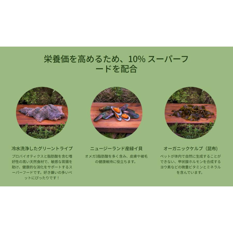 ZIWI（ジウィ） クーポン有) ジウィピーク マッカロー&ラム レシピ