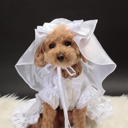 【送料無料】結婚式や記念日に愛犬のためのベール付きウェディングドレス☆ | 