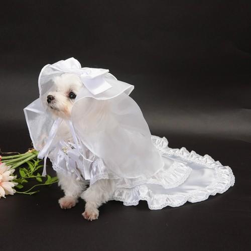 【送料無料】結婚式や記念日に愛犬のためのベール付きウェディングドレス☆ |  | 01