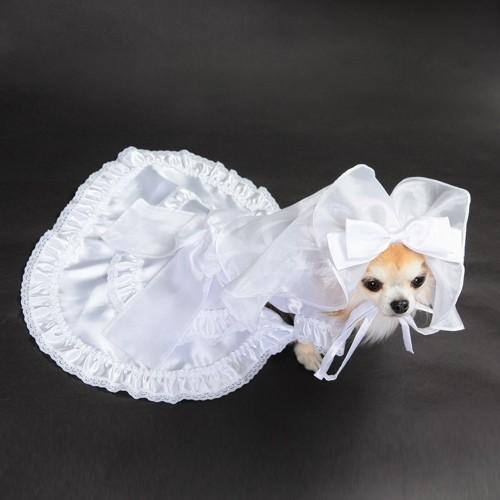 【送料無料】結婚式や記念日に愛犬のためのベール付きウェディングドレス☆ |  | 02