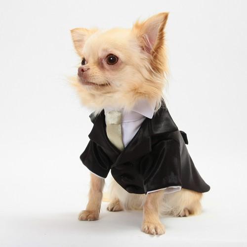 細かいサイズにも対応　愛犬のためのタキシードスーツ☆　結婚式や記念日に【送料無料】 |  | 01