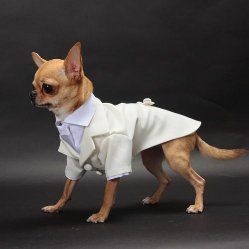 細かいサイズにも対応　愛犬のためのタキシードスーツ☆　結婚式や記念日に【送料無料】 |  | 02