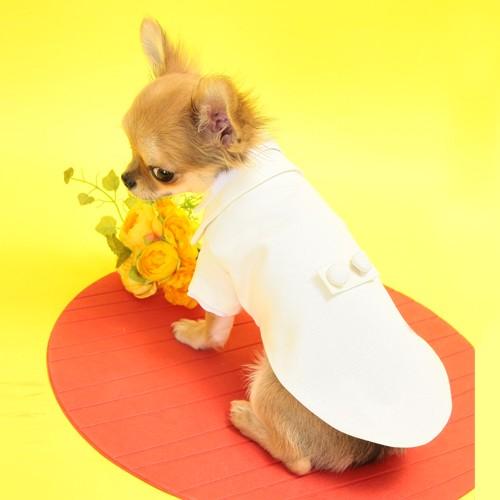 細かいサイズにも対応　愛犬のためのタキシードスーツ☆　結婚式や記念日に【送料無料】 |  | 03