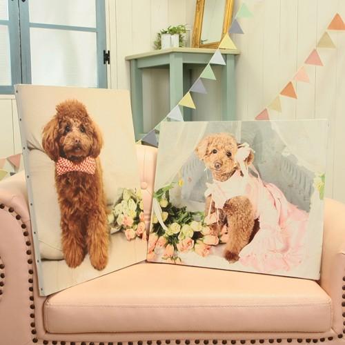 披露宴や二次会のウェルカムボードにも！まるで絵画のような風合い。ウェルカムキャンバス 【送料無料】 |  | 01