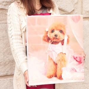 披露宴や二次会のウェルカムボードにも！まるで絵画のような風合い。ウェルカムキャンバス 【送料無料】 |  | 02