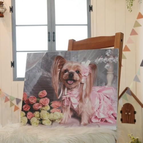 披露宴や二次会のウェルカムボードにも！まるで絵画のような風合い。ウェルカムキャンバス 【送料無料】 |  | 03