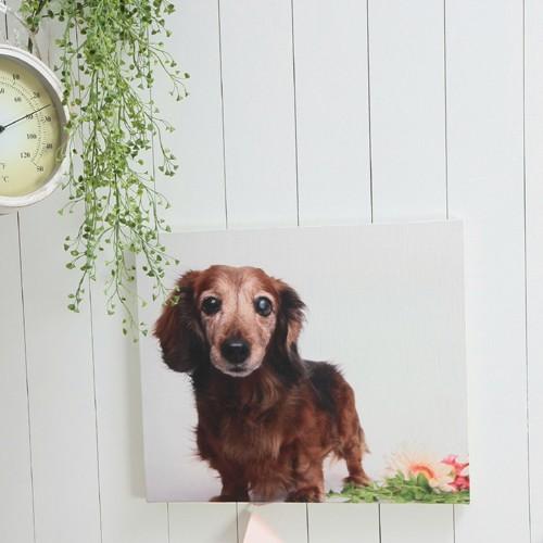 披露宴や二次会のウェルカムボードにも！まるで絵画のような風合い。ウェルカムキャンバス 【送料無料】 |  | 04