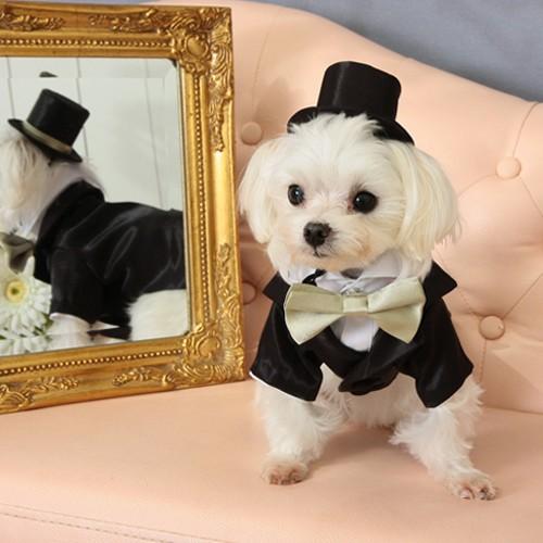 【送料無料】結婚式や記念日に。愛犬のためのタキシードスーツ&シルクハット＆蝶ネクタイセット（受注生産） | 