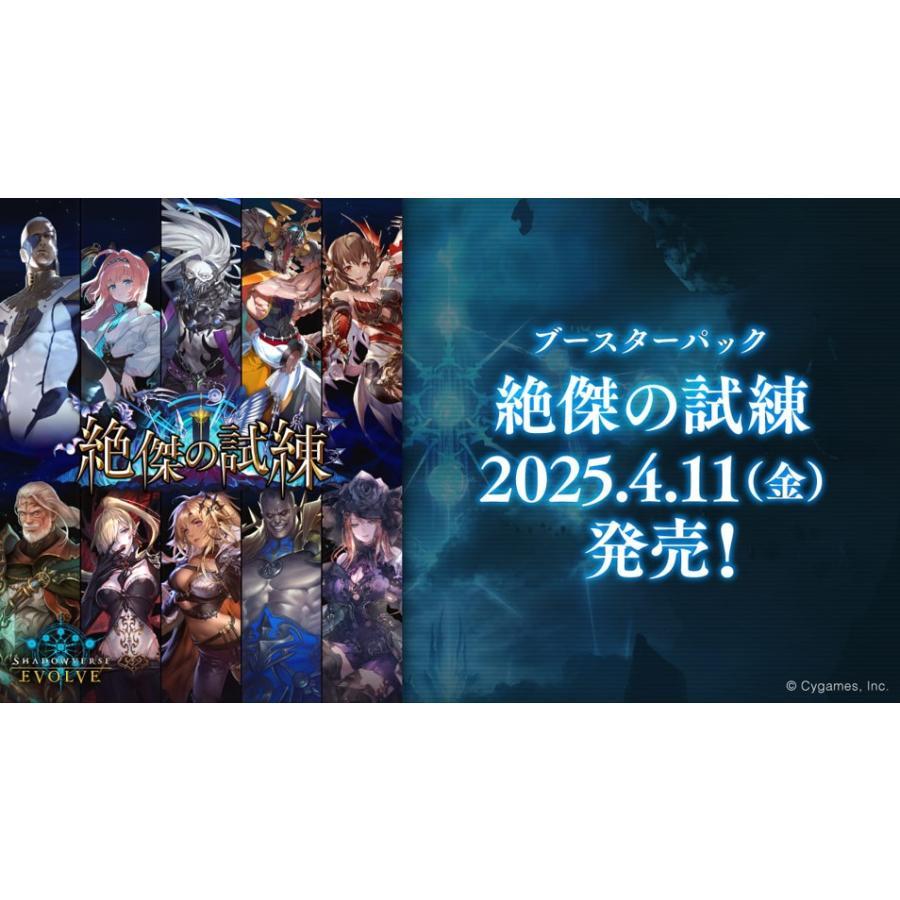 ブシロード 【未開封カートン】Shadowverse EVOLVE ブースター ブシロード 【未開封カートン】Shadowverse EVOLVE ブースター