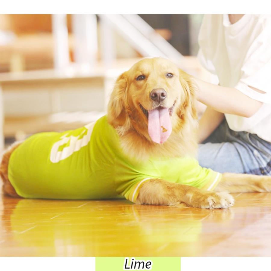 大型犬 服 クール 夏 冷感 サマーメッシュタンクトップ ｔシャツ 暑さ 日差し 抜け毛対策 クールメッシュタンク Hpt Bigt わんわん Square Garden 通販 Yahoo ショッピング