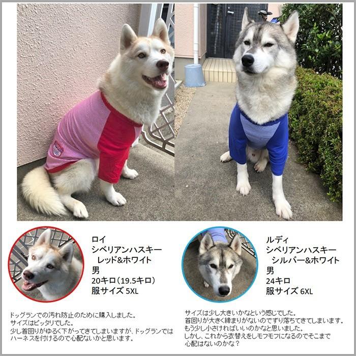 犬 服 夏 タンクトップ Tシャツ ストライプ 大型犬 中型犬 超大型犬 ボーダー 薄手 犬の服 爽やかビッグｔシャツ 送料無料 Hptb18 わんわん Square Garden 通販 Yahoo ショッピング