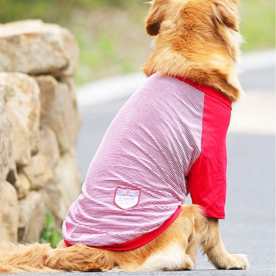 犬 服 夏 夏服 タンクトップ Tシャツ ストライプ 大型犬 中型犬 超大型