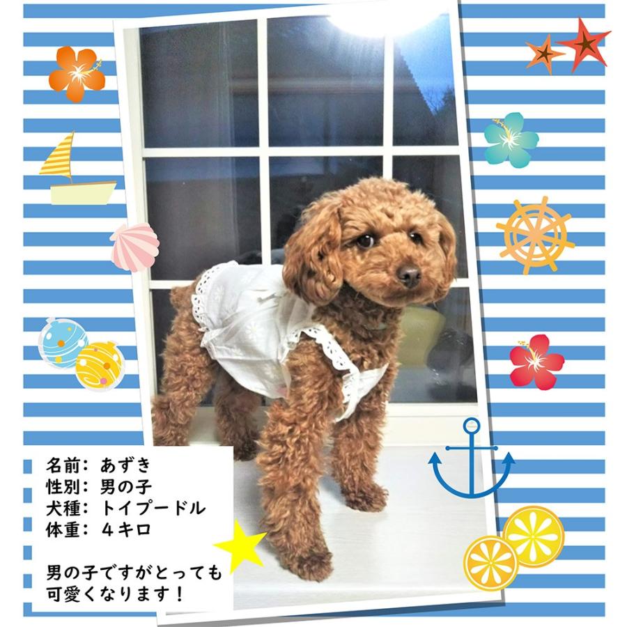 犬 服 秋 夏 ワンピース タンクトップ スカート 春 夏 秋 リボン レース ギャザー 小型犬 中型 薄手 透け感 デイジーワンピ 送料無料 Pty 015 わんわん Square Garden 通販 Yahoo ショッピング