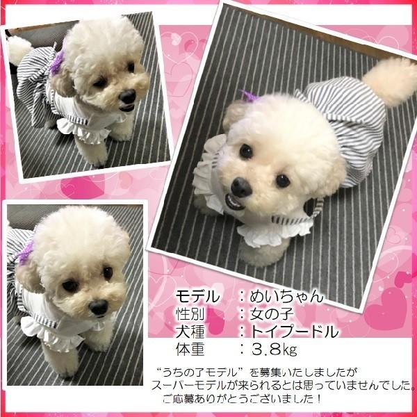 犬 服 ワンピース 小型犬 スカート ボーダー シフォン リボン ドッグウェア 可愛い おしゃれ 春 夏 秋用 チェック Pty A197 わんわん Square Garden 通販 Yahoo ショッピング