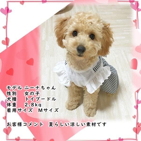 犬 服 ワンピース 小型犬 スカート ボーダー シフォン リボン ドッグ