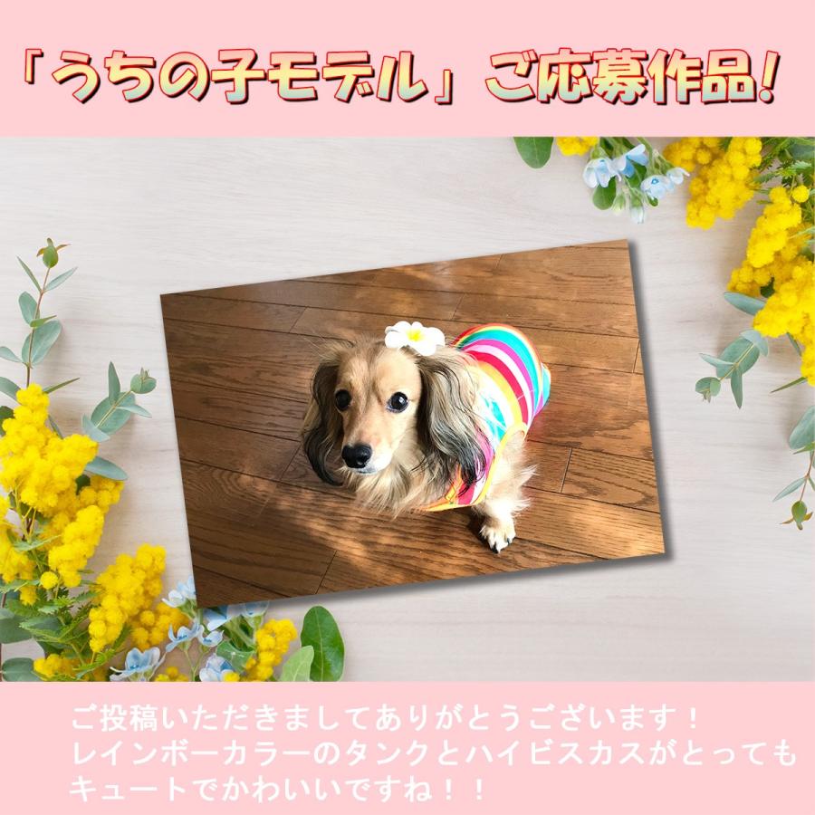 犬 服 タンクトップ レインボー Tシャツ ノースリーブ 小型犬 中型犬 秋 フレンチブルドッグ シーズートイプードル チワワ 虹色タンク Rainbow 2969 わんわん Square Garden 通販 Yahoo ショッピング