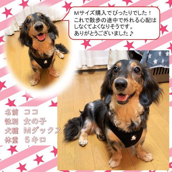 Truelove（トゥルーラブ） 犬 ハーネス 犬用 ハーネス メッシュ 小型犬