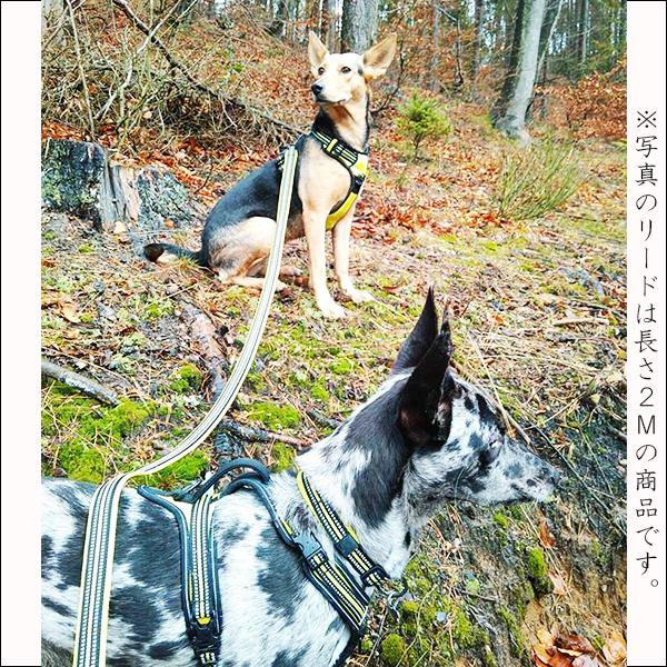 犬 リード おしゃれ かっこいい 小型犬 中型犬 大型犬 Truelove 持ちやすい メッシュ 丈夫 ソフトハンドル 軽量 全11色 110cm スタンダードリード TLL2111 | Truelove | 21